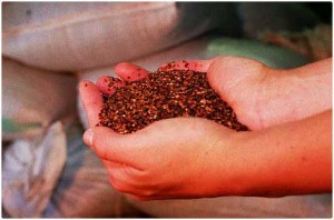 rooibos-bio-antioxydant-troubles-digestifs-coliques-sommeil-vertue-the-vert-cancer-allergie-rouge-medicinale-phytotherapie-sante-antioxydant-naturel Rooibos bio, thé rouge antioxydant naturel